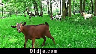 old men with big dicks